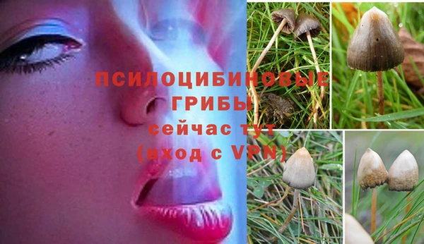 герыч Абинск
