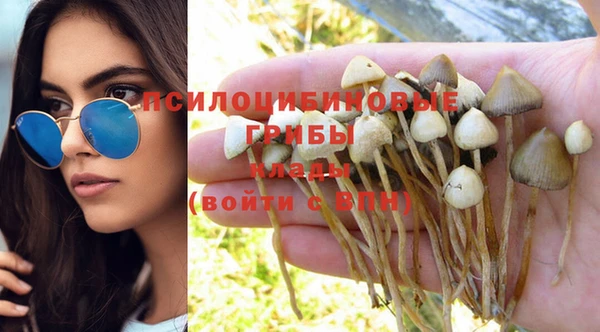 герыч Абинск